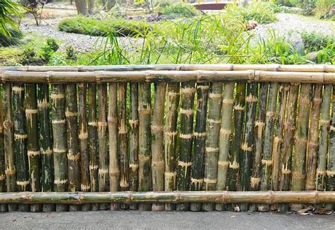 50+ Pagar Bambu Dengan Sentuhan Retro: Nostalgia Dalam Desain Modern