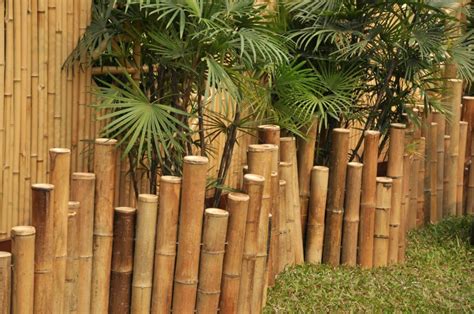 64+ Pagar Bambu Tropical Paradise: Pesona Pulau Di Rumah Anda